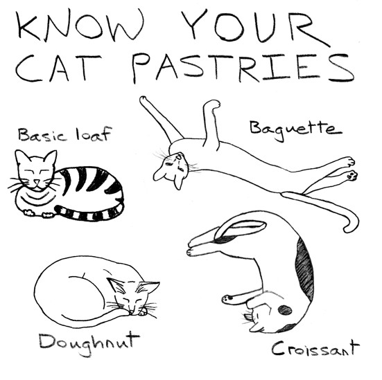 Not pictured: the three-cat challah braid.