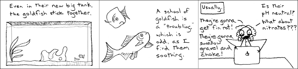 The big one with all its fins seems to be alpha fish, the one with missing fins follows behind.