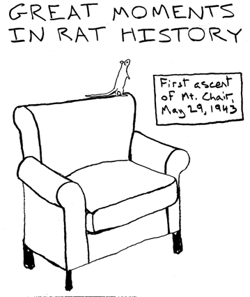 The text placed here will appear when you rat over the comic.