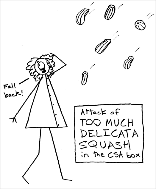 Delicata squash are kind of fun to draw.