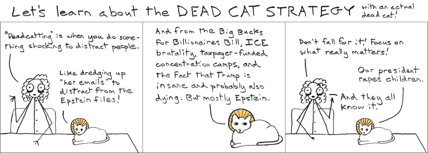 Once I saw an ad for a movie, I think it was Blue Crush, and on it someone had written, in small neat lettering, "THEY REALLY THINK YOU ARE THIS STUPID." I think of that often. I'm thinking of it today. They really think we are this stupid.