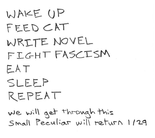 Small Peculiar does not recommend poisoning cats except under medical supervision.